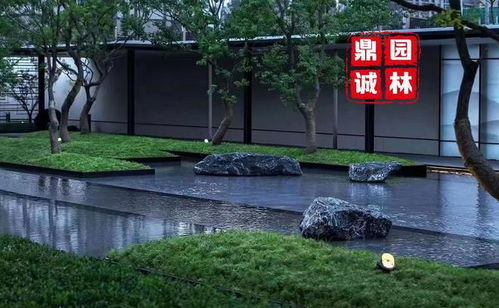 黑山石 庭院水景與枯山水的自然詩意設(shè)計(jì)